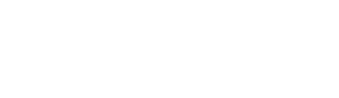 Smart Księgowe_logo podstawowe_poziome_białe (1)